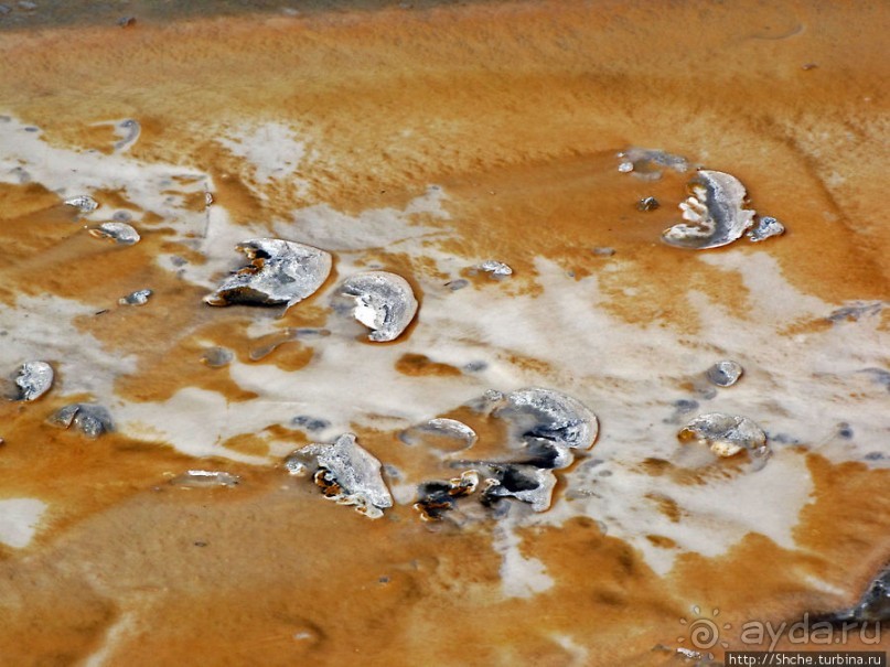 "Живые" источники окраин Geyser Hill в Йеллоустонском Н.П.