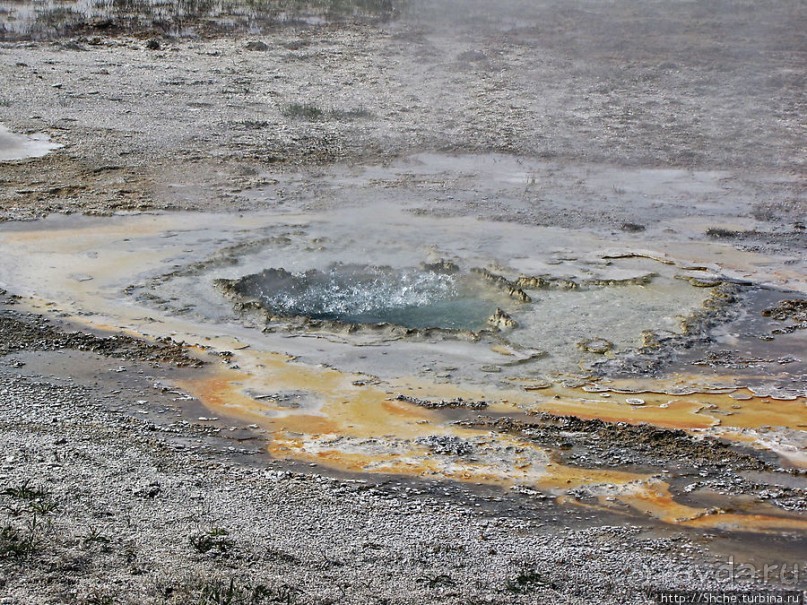 "Живые" источники окраин Geyser Hill в Йеллоустонском Н.П.