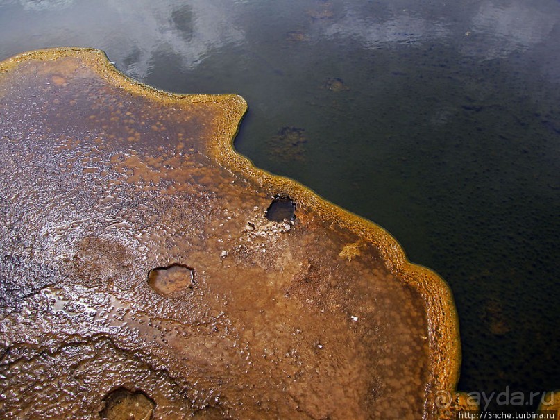 "Живые" источники окраин Geyser Hill в Йеллоустонском Н.П.