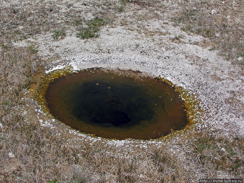"Живые" источники окраин Geyser Hill в Йеллоустонском Н.П.