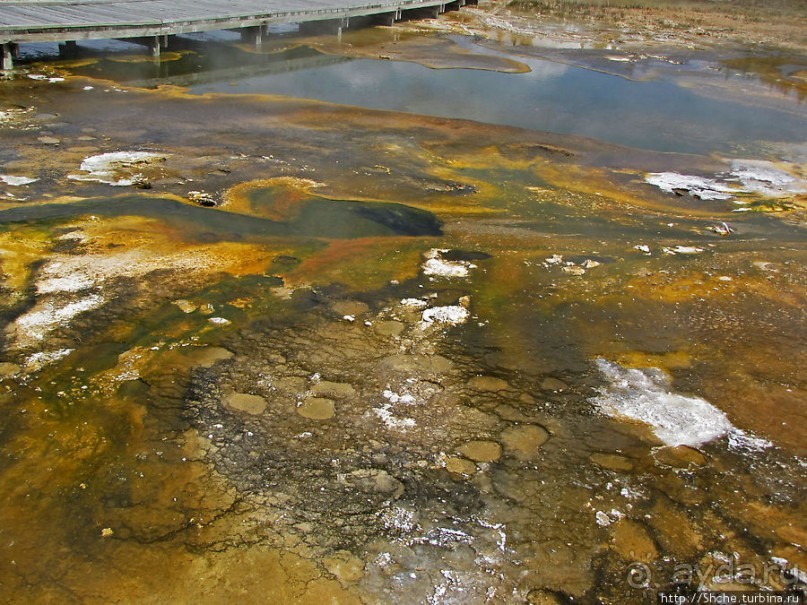 "Живые" источники окраин Geyser Hill в Йеллоустонском Н.П.