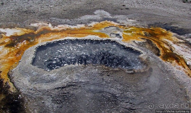 "Живые" источники окраин Geyser Hill в Йеллоустонском Н.П.