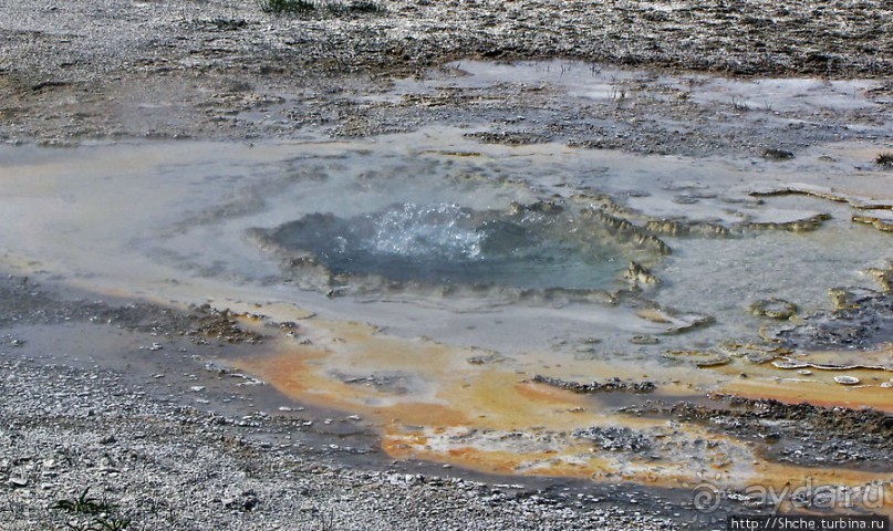 "Живые" источники окраин Geyser Hill в Йеллоустонском Н.П.