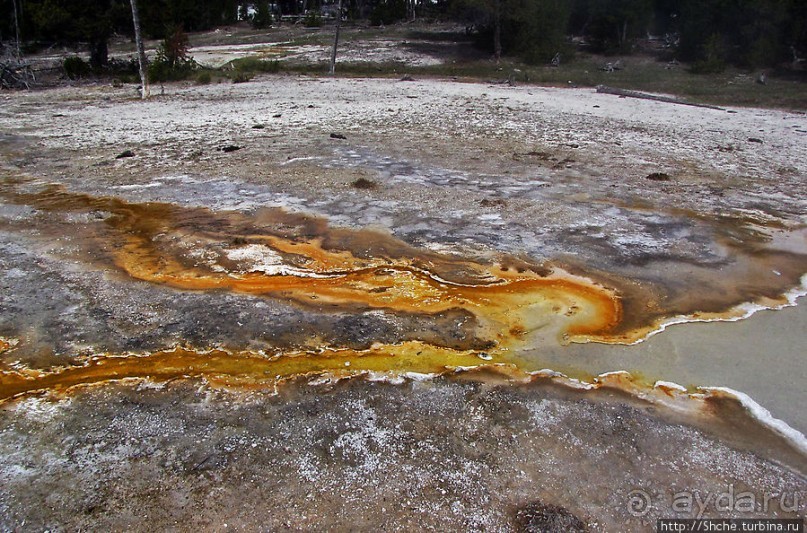 "Живые" источники окраин Geyser Hill в Йеллоустонском Н.П.