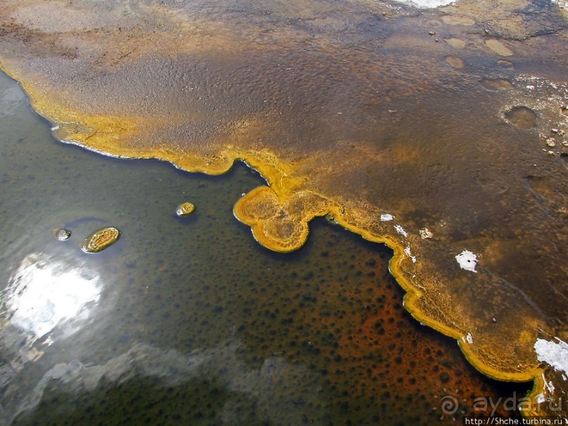 "Живые" источники окраин Geyser Hill в Йеллоустонском Н.П.