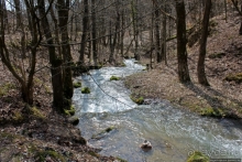 Альбом истории "А пока-пока по камушкам... Hájsky potok"