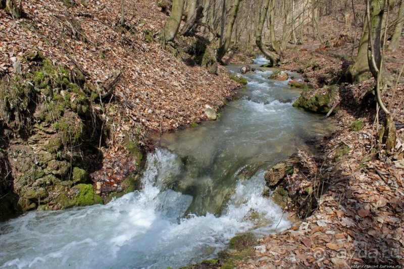 Альбом истории "А пока-пока по камушкам... Hájsky potok"