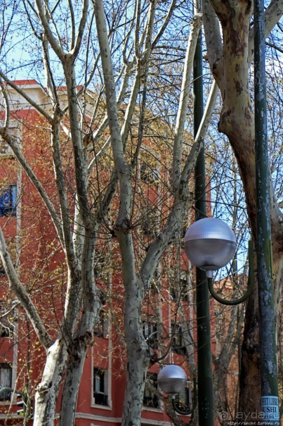 Павел, Валентин, Мадрид