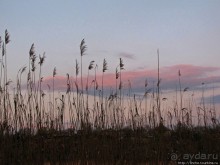 Водный поход по Южному Бугу. Первый день - проба воды