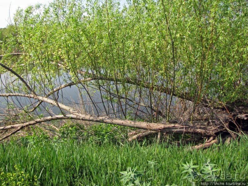 Водный поход по Южному Бугу. Первый день - проба воды