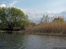 Водный поход по Южному Бугу. Первый день - проба воды