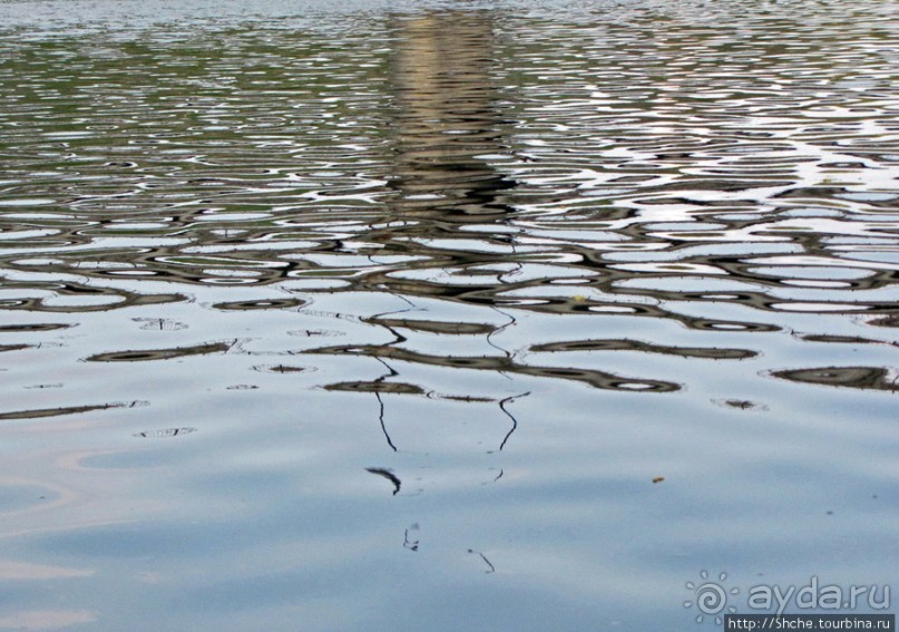 Водный поход по Южному Бугу. Первый день - проба воды
