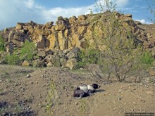 Водный поход по Южному Бугу. Первый день - проба воды