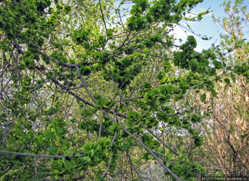 Водный поход по Южному Бугу. Первый день - проба воды