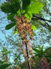 Водный поход по Южному Бугу. Первый день - проба воды
