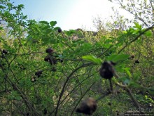Водный поход по Южному Бугу. Первый день - проба воды