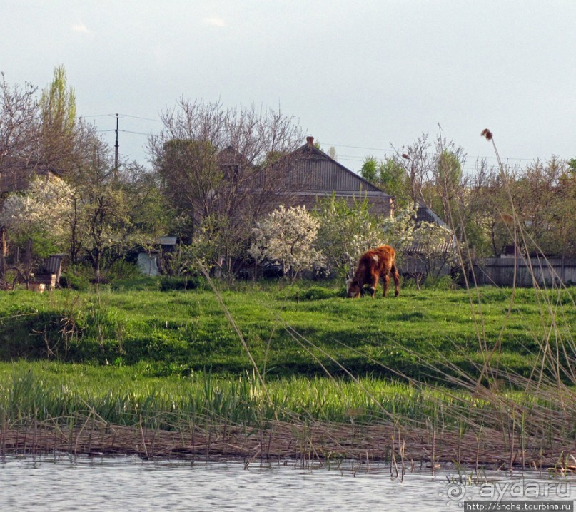 Водный поход по Южному Бугу. Первый день - проба воды