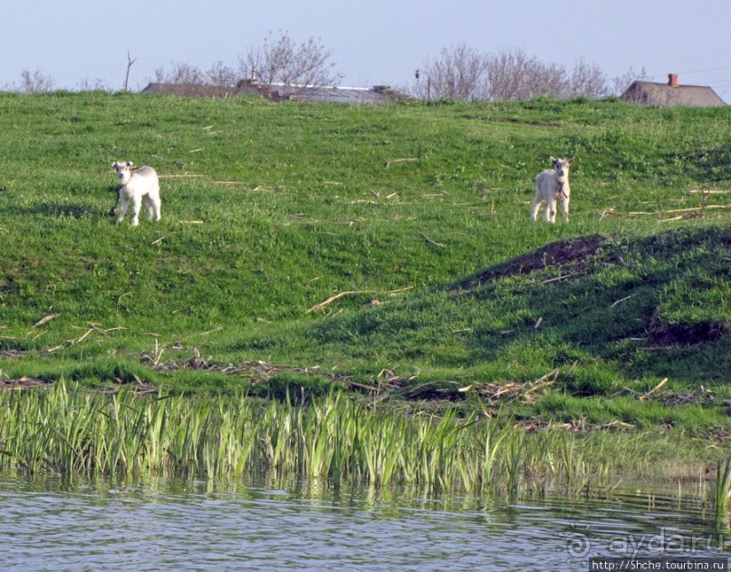 Водный поход по Южному Бугу. Первый день - проба воды