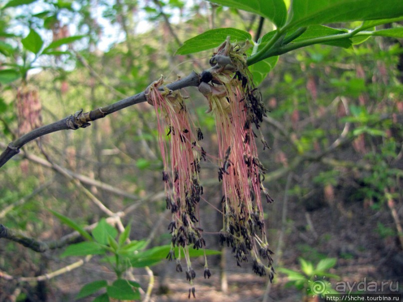 Водный поход по Южному Бугу. Первый день - проба воды