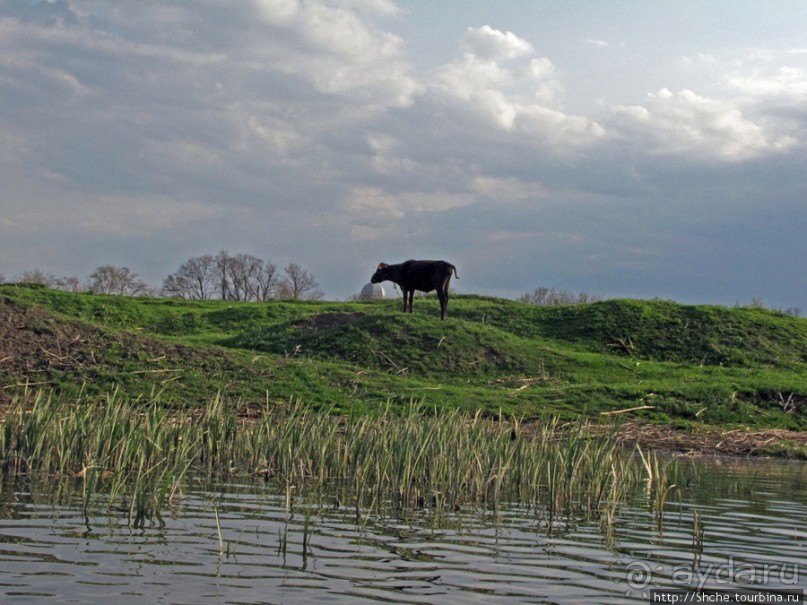 Водный поход по Южному Бугу. Первый день - проба воды