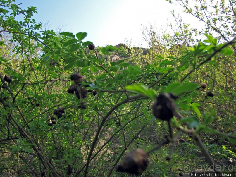 Водный поход по Южному Бугу. Первый день - проба воды