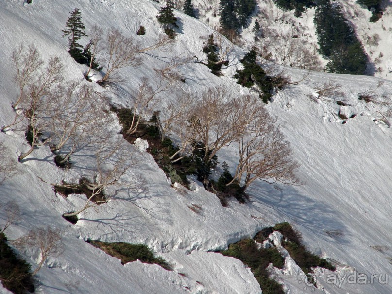 Японские Альпы