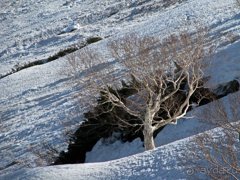Японские Альпы