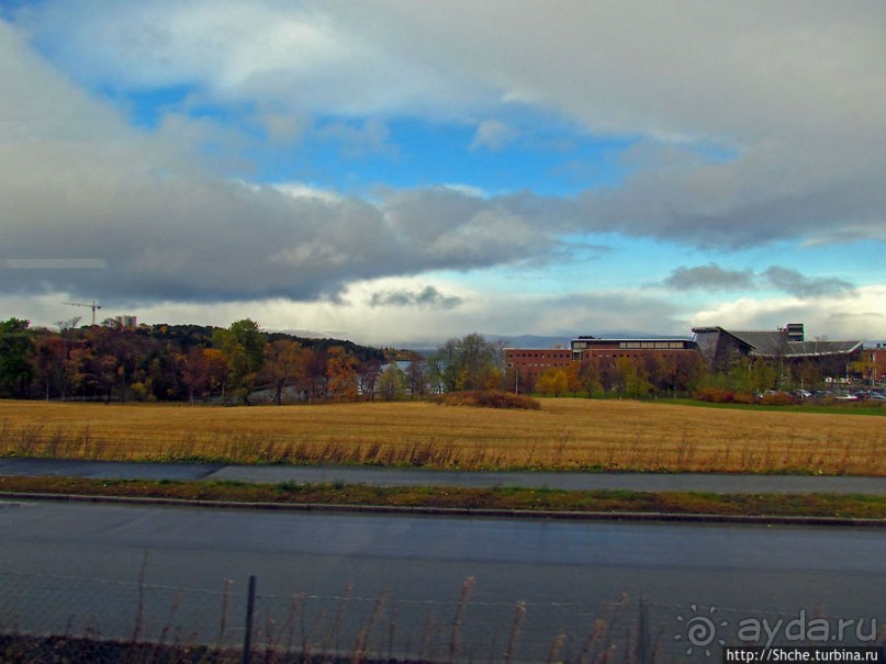 Обычный городок на берегу фьерда Trondheimfjerden