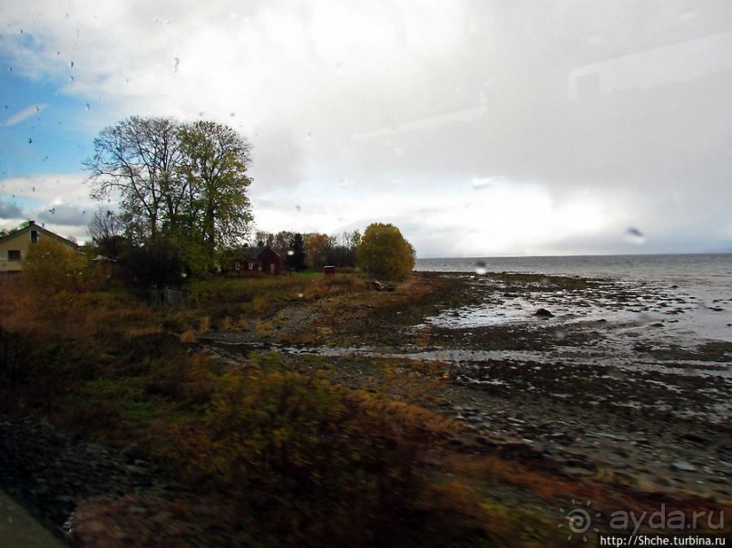 Обычный городок на берегу фьерда Trondheimfjerden