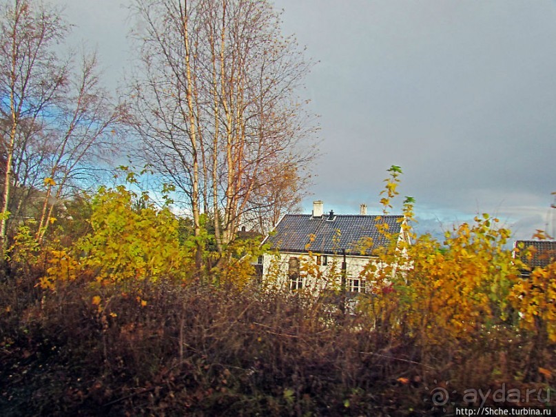 Обычный городок на берегу фьерда Trondheimfjerden