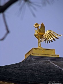 Альбом отзыва "Кинкаку-дзи (Золотой павильон) в Киото и зеркальный водоем"