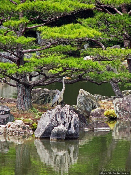 Альбом отзыва "Кинкаку-дзи (Золотой павильон) в Киото и зеркальный водоем"