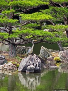 Кинкаку-дзи (Золотой павильон) в Киото и зеркальный водоем