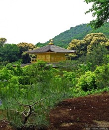 Альбом отзыва "Кинкаку-дзи (Золотой павильон) в Киото и зеркальный водоем"