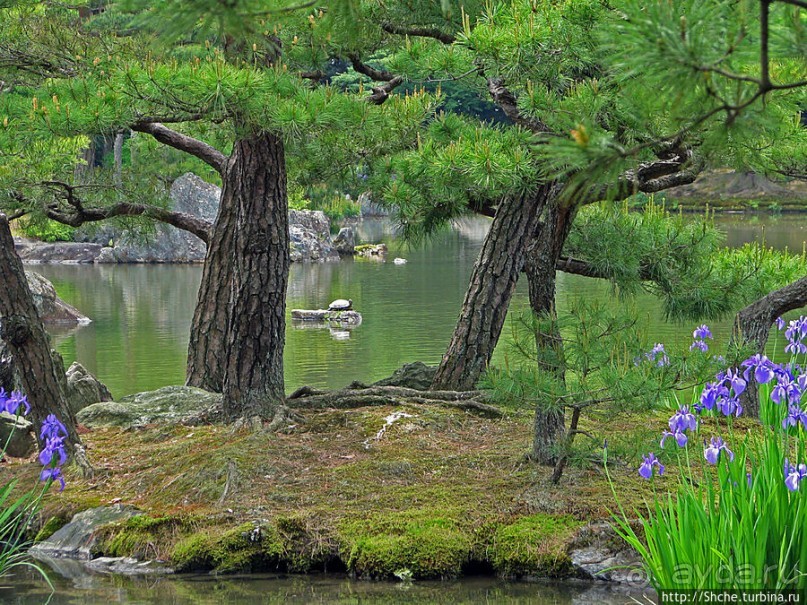 Альбом отзыва "Кинкаку-дзи (Золотой павильон) в Киото и зеркальный водоем"