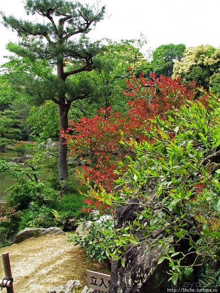 Альбом отзыва "Кинкаку-дзи (Золотой павильон) в Киото и зеркальный водоем"