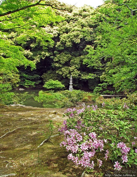 Альбом отзыва "Кинкаку-дзи (Золотой павильон) в Киото и зеркальный водоем"
