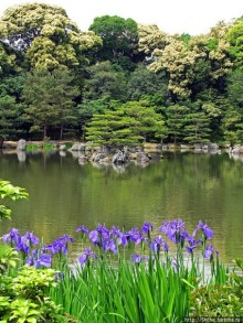 Альбом отзыва "Кинкаку-дзи (Золотой павильон) в Киото и зеркальный водоем"