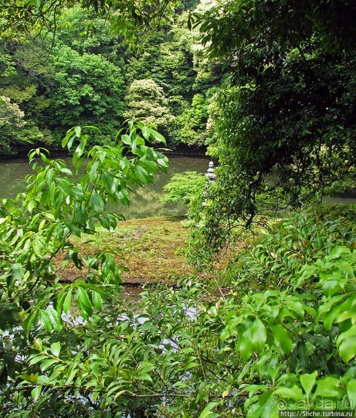 Кинкаку-дзи (Золотой павильон) в Киото и зеркальный водоем
