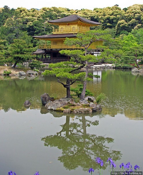 Альбом отзыва "Кинкаку-дзи (Золотой павильон) в Киото и зеркальный водоем"