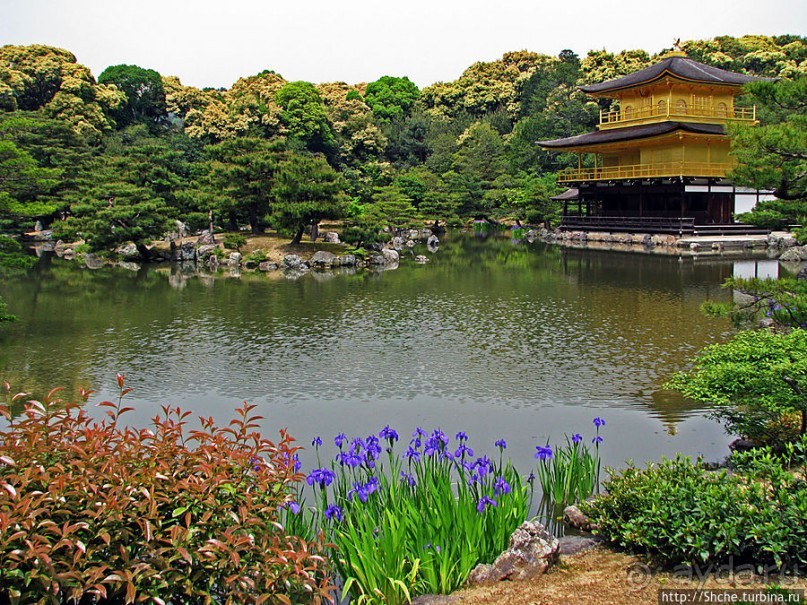 Кинкаку-дзи (Золотой павильон) в Киото и зеркальный водоем