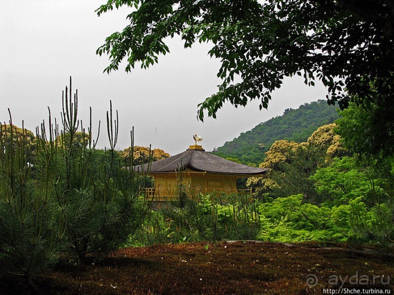 Кинкаку-дзи (Золотой павильон) в Киото и зеркальный водоем