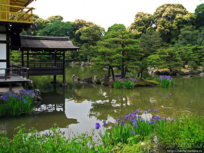 Кинкаку-дзи (Золотой павильон) в Киото и зеркальный водоем