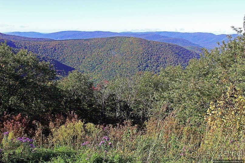 В гостях у Радуги. Гора Грейлок — высшая точка Массачусетса