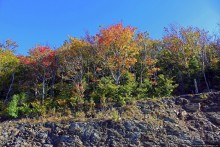 В гостях у Радуги. Гора Грейлок — высшая точка Массачусетса