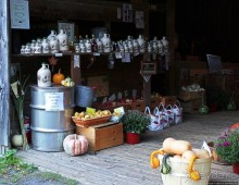 В гостях у Радуги. Вермонт к празднику Хэллоуин готов