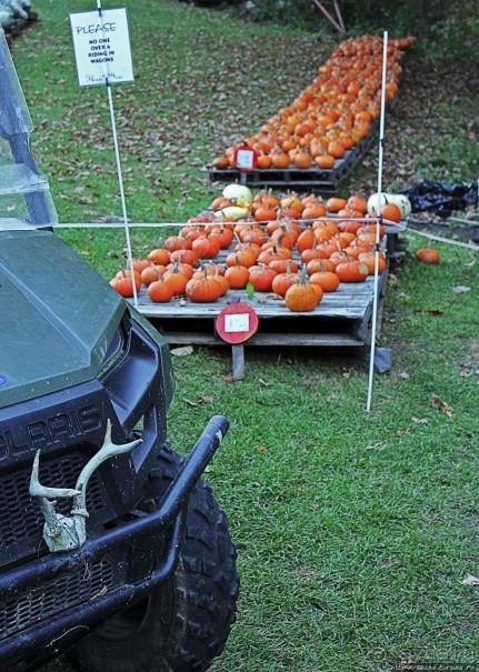 В гостях у Радуги. Вермонт к празднику Хэллоуин готов