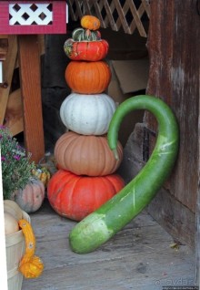 В гостях у Радуги. Вермонт к празднику Хэллоуин готов