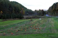 В гостях у Радуги. Вермонт к празднику Хэллоуин готов