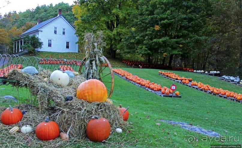 В гостях у Радуги. Вермонт к празднику Хэллоуин готов